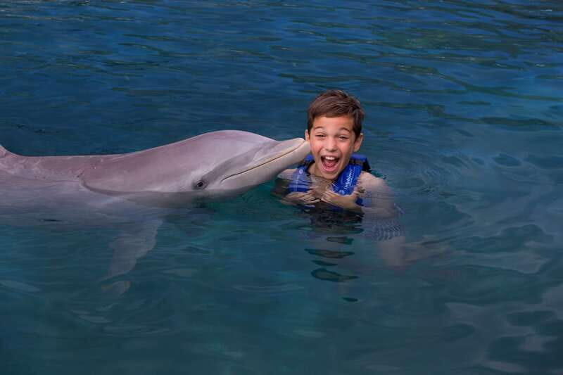 Riviera Maya: Swim with dolphins Ride - Authentic Experiences and What Reviewers Say