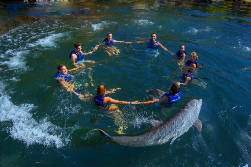 Riviera Maya: Swim with dolphins Ride - Final Thoughts