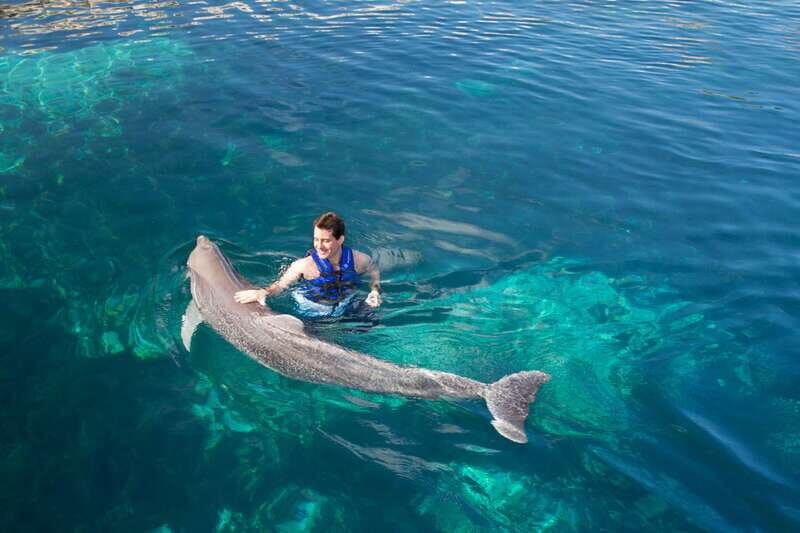 Riviera Maya: Swim with dolphins Ride - FAQs