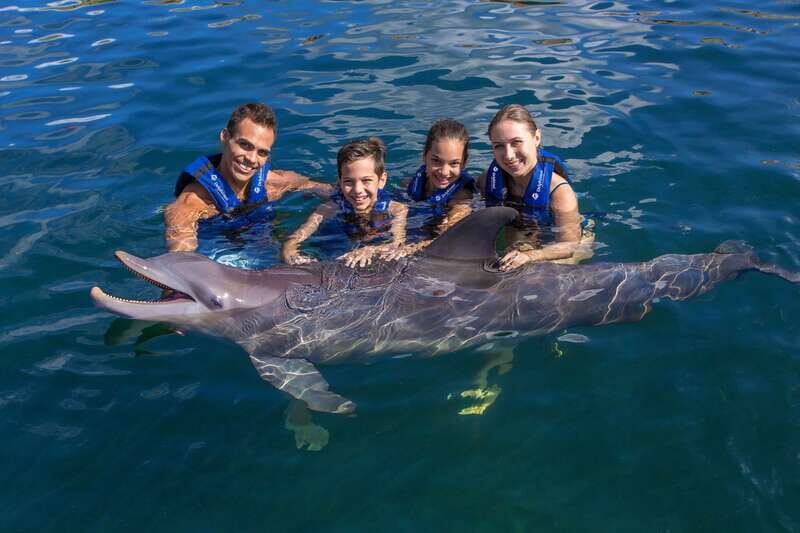 Riviera Maya: Swim with dolphins Supreme - The Experience: What Do Guests Say?