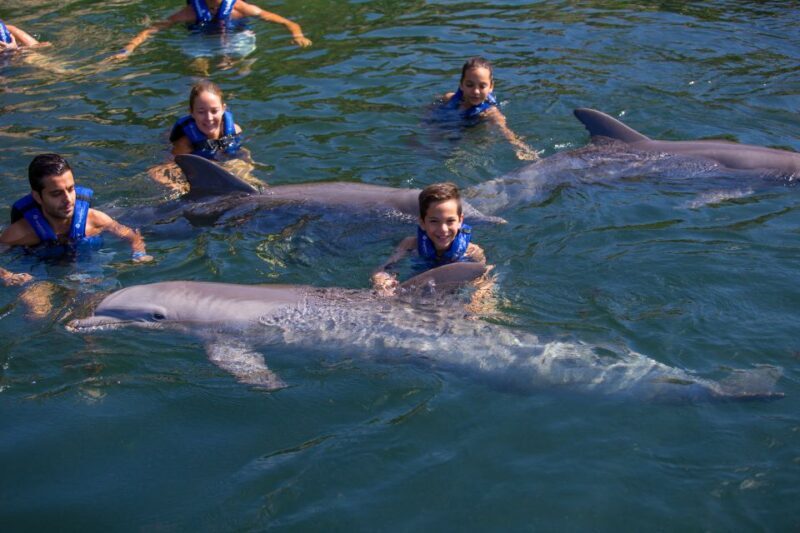 Riviera Maya: Swim with dolphins Supreme - Final Thoughts: Is It Worth It?