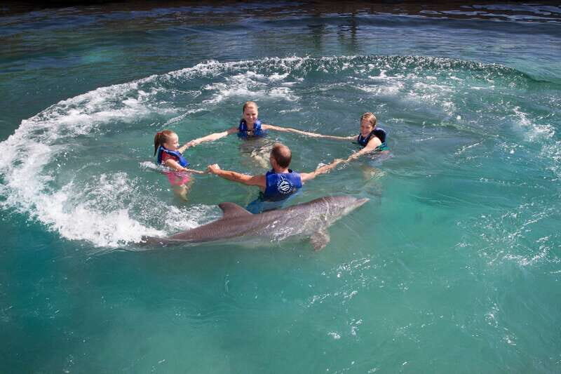 Riviera Maya: Swim with dolphins Supreme - FAQ