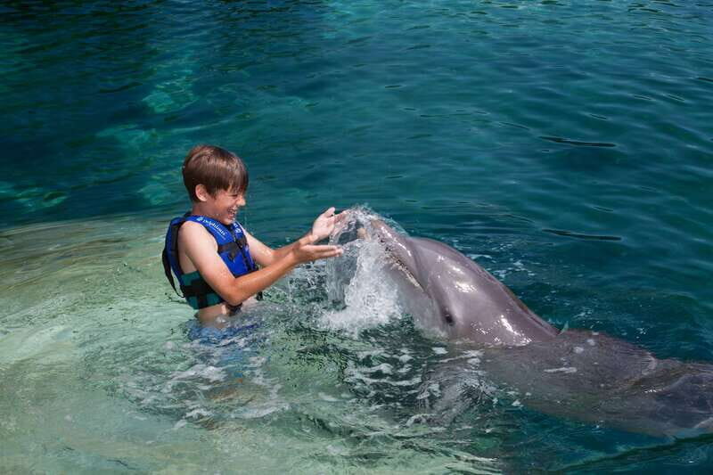 Riviera Maya: Swimming Experience with Dolphins - What to Expect from the Dolphin Swim Experience