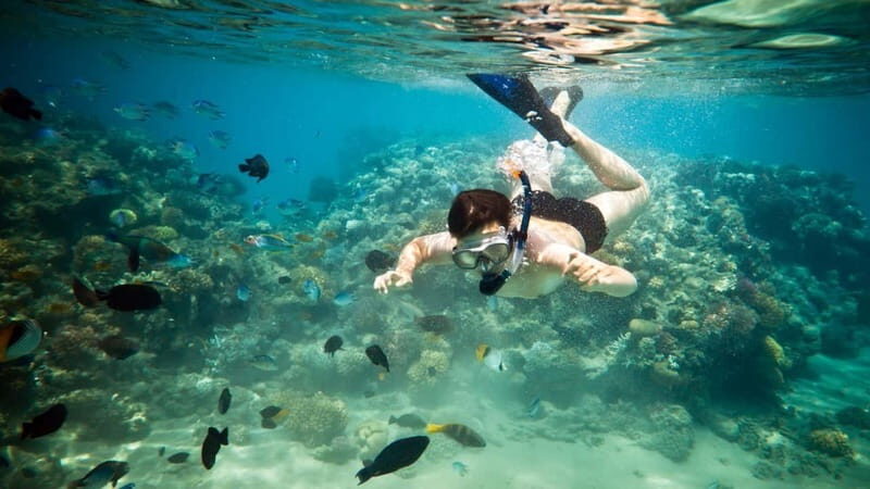 Riviera Maya: Two-Reef Snorkeling Experience - The Sum Up