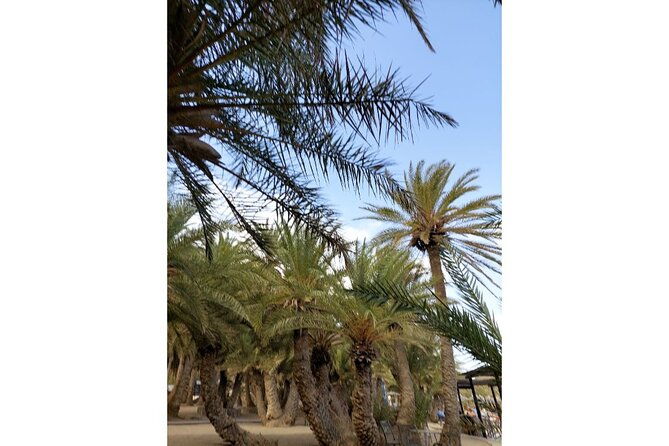 riviera-vai-palm-beach-toplou-monastery