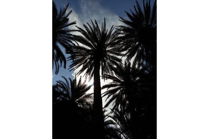 riviera-vai-palm-beach-toplou-monastery