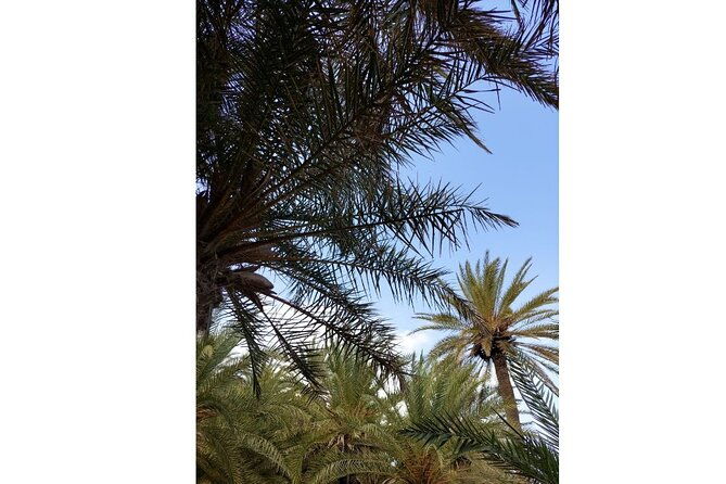 riviera-vai-palm-beach-toplou-monastery