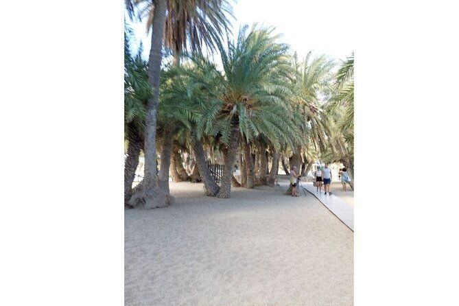 riviera-vai-palm-beach-toplou-monastery