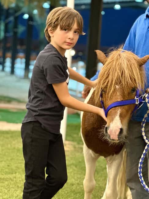 Riyadh: Arabian Horse Riding Experience - Key Points