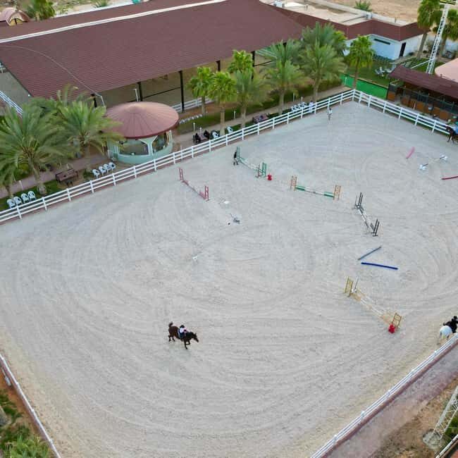 Riyadh: Arabian Horse Riding Experience - Introduction: A Ride Through Saudi Arabia’s Horse Heritage