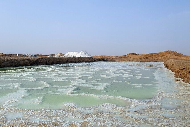Riyadh City Tour with Camel Riding - Additional Inclusions and Comforts