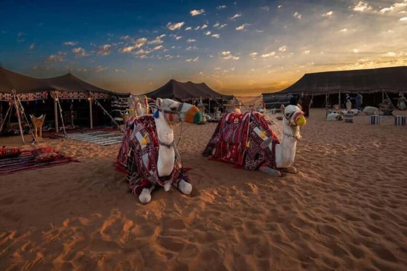 Riyadh: Edge of the World Hiking, Camel Ride, and Cave Tour - FAQ
