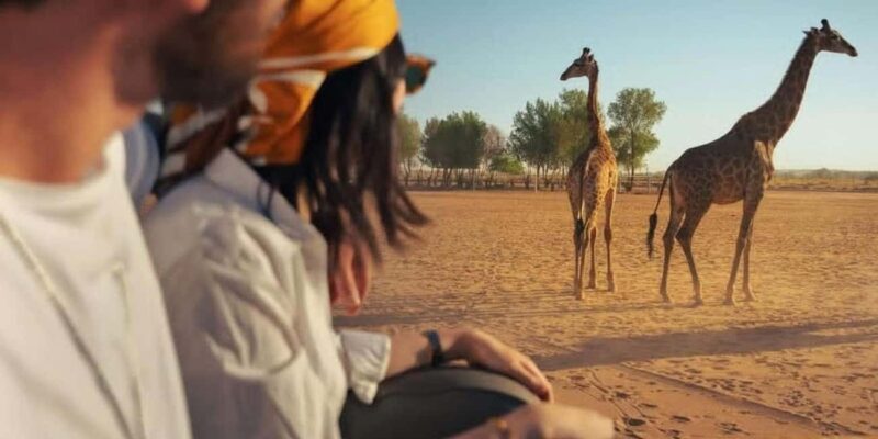 Riyadh: Nofa Wildlife Park Safari Private Tour - Key Points