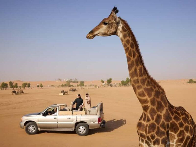 Riyadh: Nofa Wildlife Park Safari Private Tour - Detailed Breakdown of the Itinerary