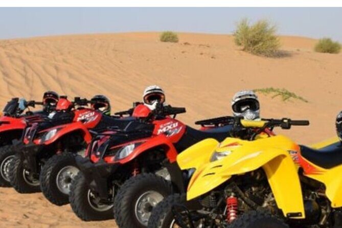 Riyadh Quad Biking Tour with Camel Ride - What You Can Expect from the Riyadh Quad Biking Tour