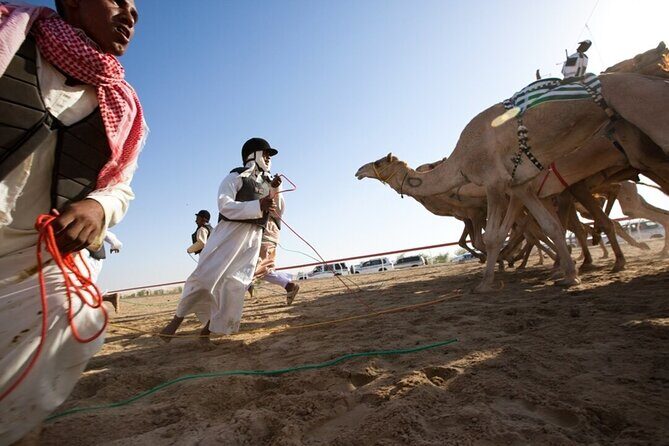 Riyadh Red Sand Dunes 4x4 (Camel Ride, Quad biking, Old Palace) - Pricing and Overall Value