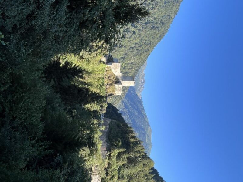 rize-ayder-highland-village-tea-tasting-private-day-trip