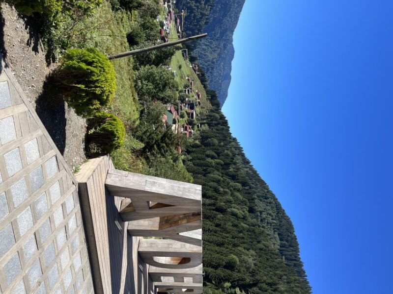 rize-ayder-highland-village-tea-tasting-private-day-trip