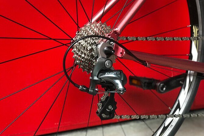 Road Bike Rentals - Who Would Love This Experience?