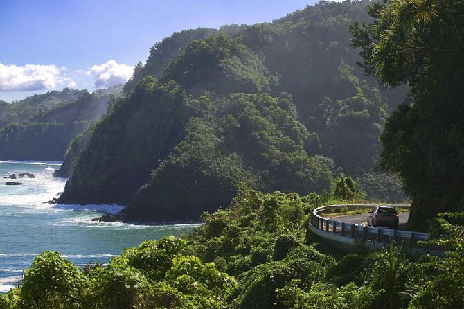 road-to-hana-black-sand-beach-waterfalls-turtles-tour