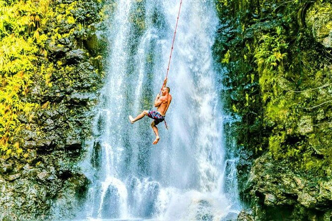 road-to-hana-black-sand-beach-waterfalls-turtles-tour