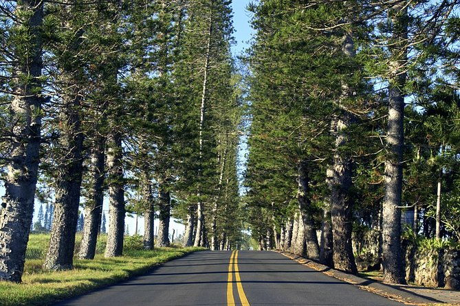 road-to-hana-full-day-scenic-drive-with-blacksand-waterfalls