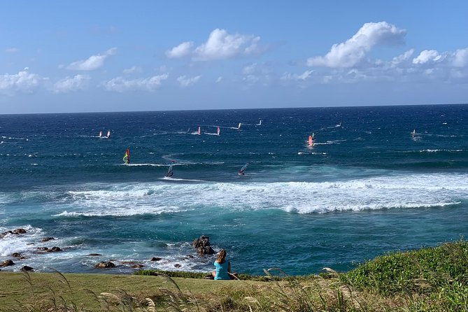 road-to-hana-maui-private-panoramic-tour-in-spanish