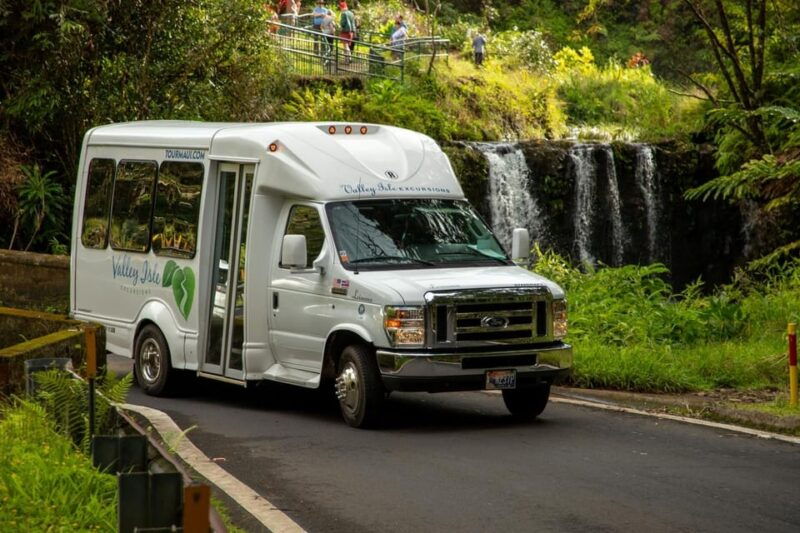 road-to-hana-professional-guide-food-swimming-waterfalls