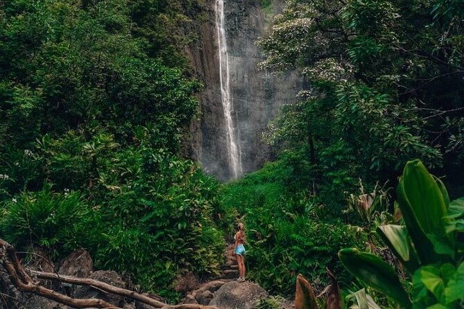 road-to-hana-tour-best-of-maui