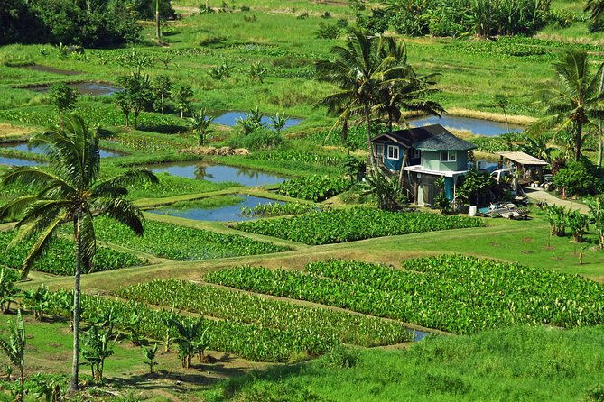 road-to-hana-tour-with-lunch-and-pickup