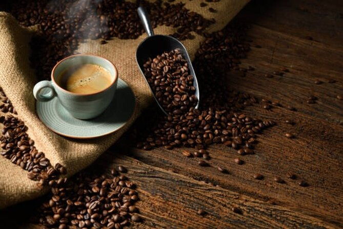 roasted-in-seattle-bean-to-cup-coffee-tour-2