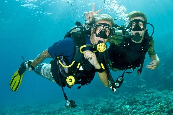roatan-1-tank-shore-dive-sloth-monkey-park-city-tour-plus-transportation