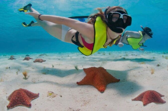 roatan-3-stop-snorkel-starfish-blue-channel-and-turtle-crossing