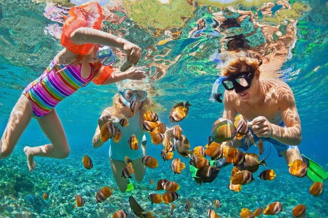 roatan-3-stop-snorkel-starfish-blue-channel-and-turtle-crossing