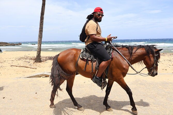 roatan-atv-adventure-wildlife-eco-park-and-horseback