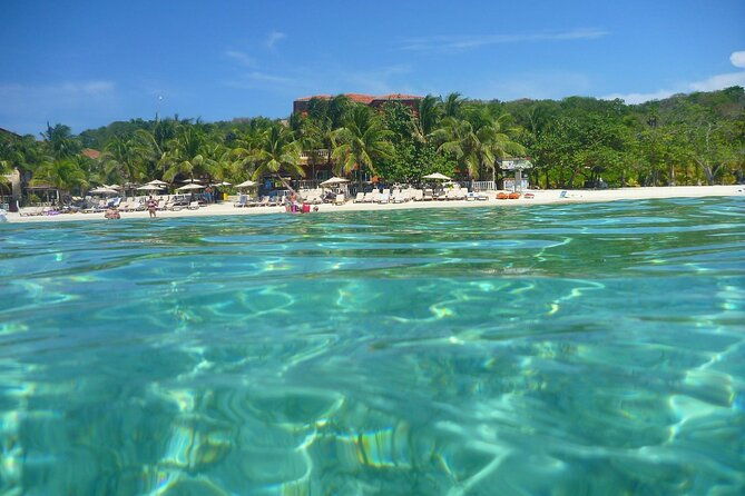 roatan-chocolate-factory-rum-factory-and-beach-day-tour