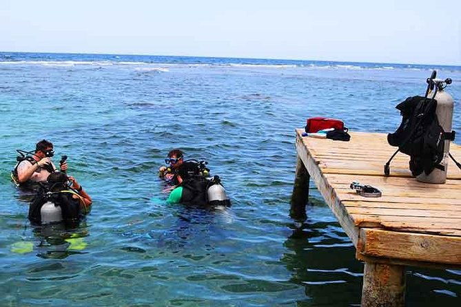 roatan-discover-scuba-diving-experience