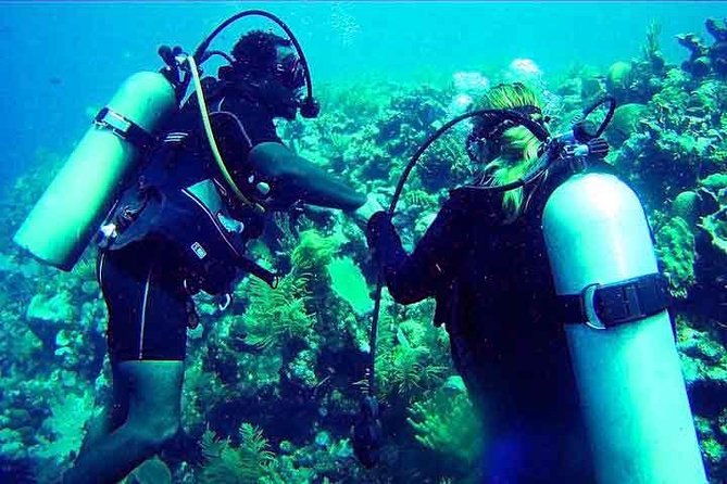 roatan-discover-scuba-diving-experience