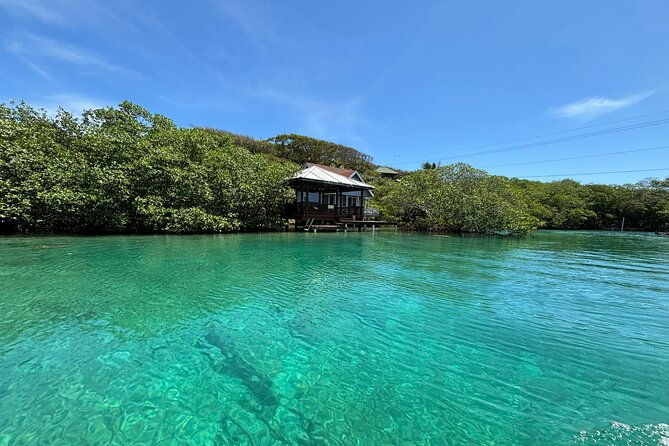 roatan-east-side-mangrove-tunnels-and-snorkel-adventure