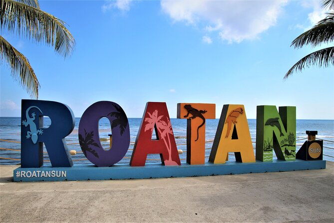 roatan-excursion-sloths-and-monkey-hang-out-chocolate-rum-c