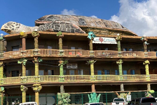 roatan-excursion-sloths-and-monkey-hang-out-chocolate-rum-c