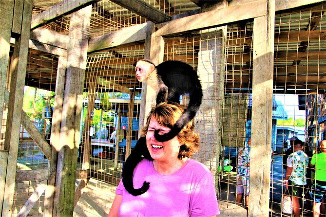 roatan-excursion-sloths-and-monkey-hang-out-chocolate-rum-c