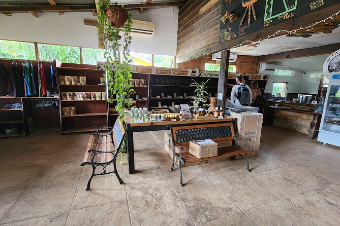 roatan-excursion-sloths-and-monkey-hang-out-chocolate-rum-c