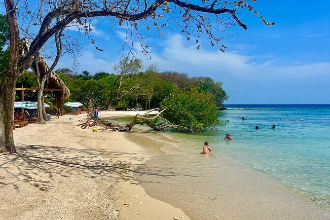 roatan-iguana-park-and-monkey-sloth-park-sanctuary-and-beach-stop