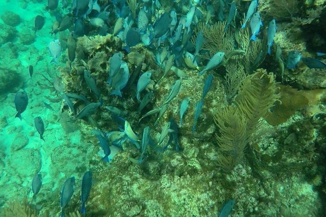 roatan-jet-ski-with-snorkel-and-beach
