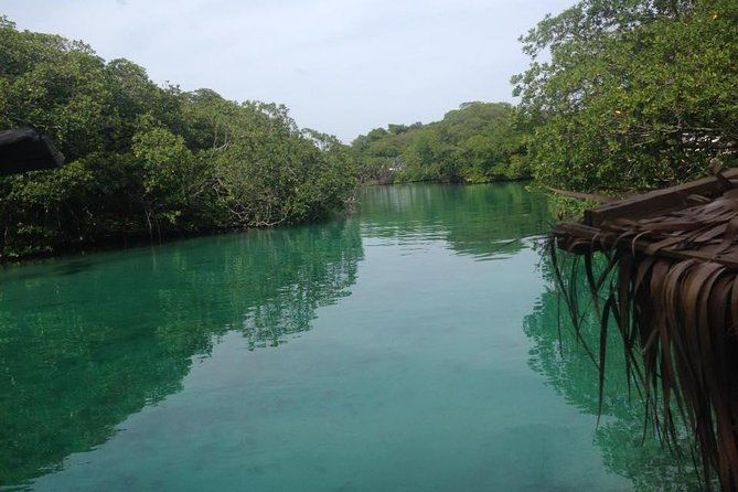 roatan-mangrove-tunnels-adventure