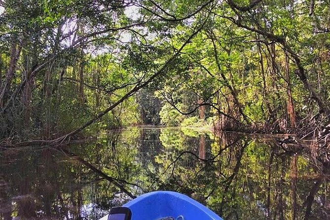 roatan-mangrove-tunnels-adventure