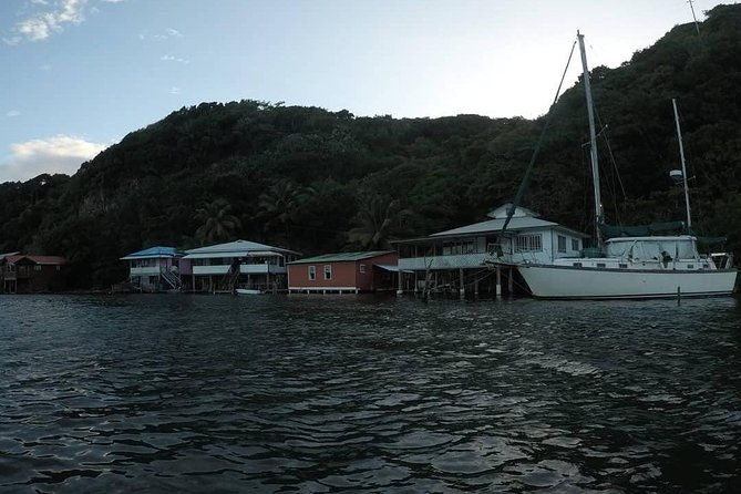 roatan-mangrove-tunnels-adventure