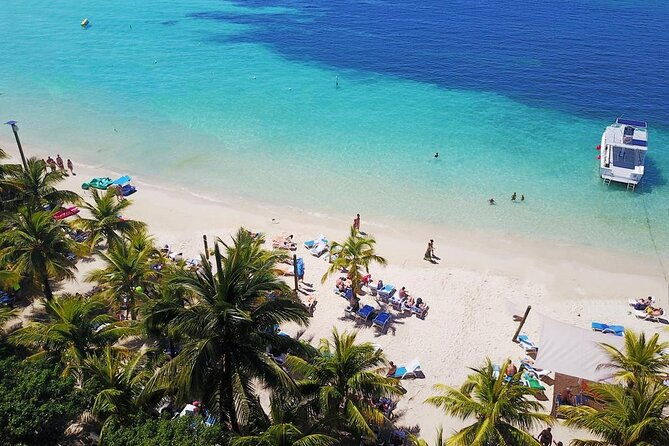 roatan-monkeys-and-sloths-chocolate-rum-tasting-and-beach-time