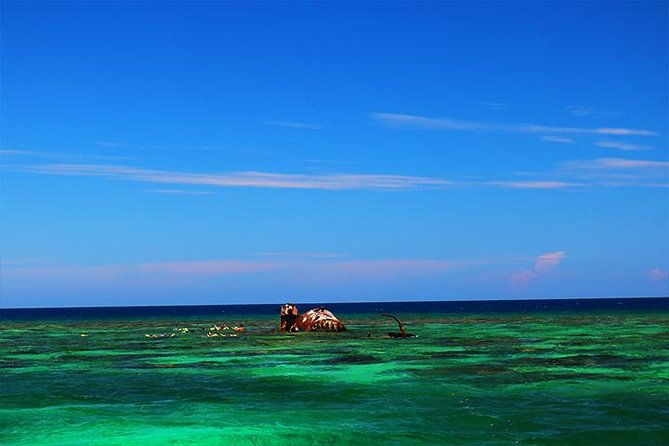 roatan-north-side-mangroves-starfish-shipwreck-snorkeling-transportation
